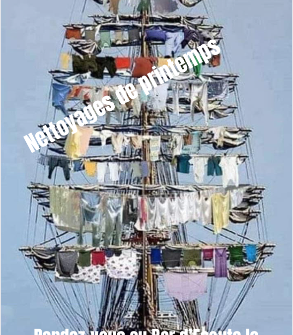 Nettoyages de printemps