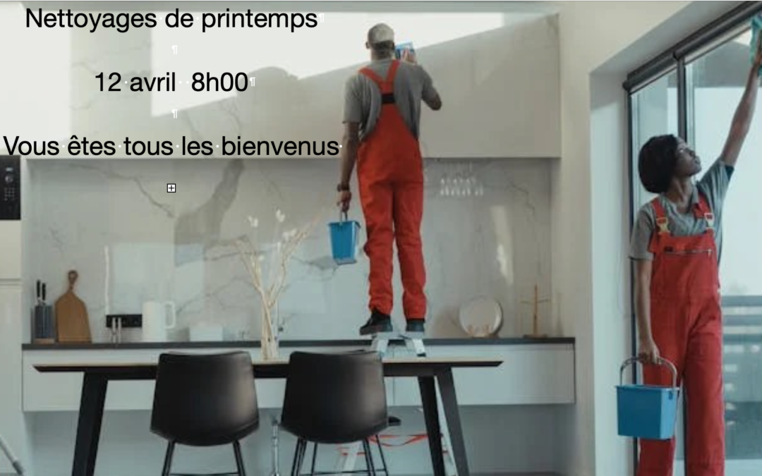 Nettoyages de printemps